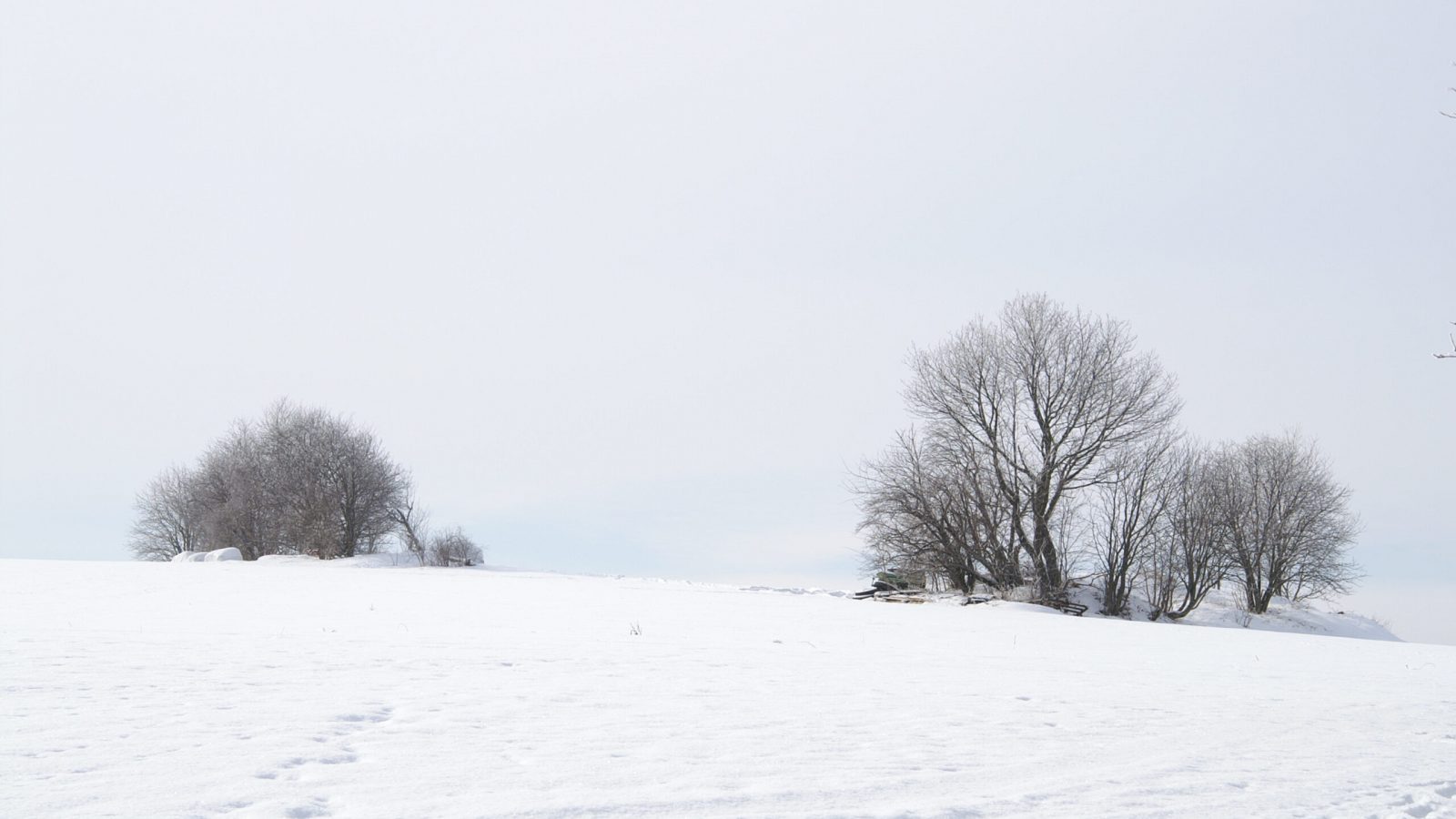 Winterlandschaft, Foto: Matthias Scheffler